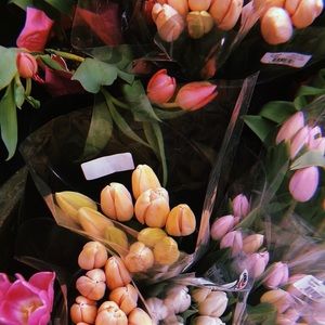 Meet your Posher, Emily